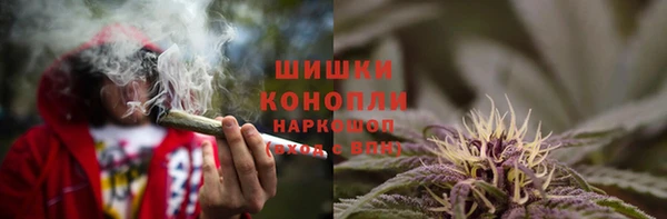 spice Алзамай